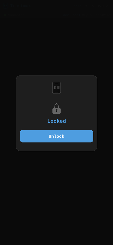 Biometric lock screen